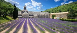 Lavender field in front of ancient castle