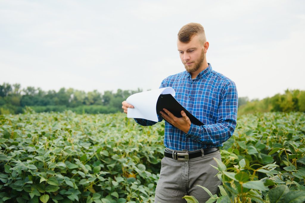Agronomist examining green plants in field