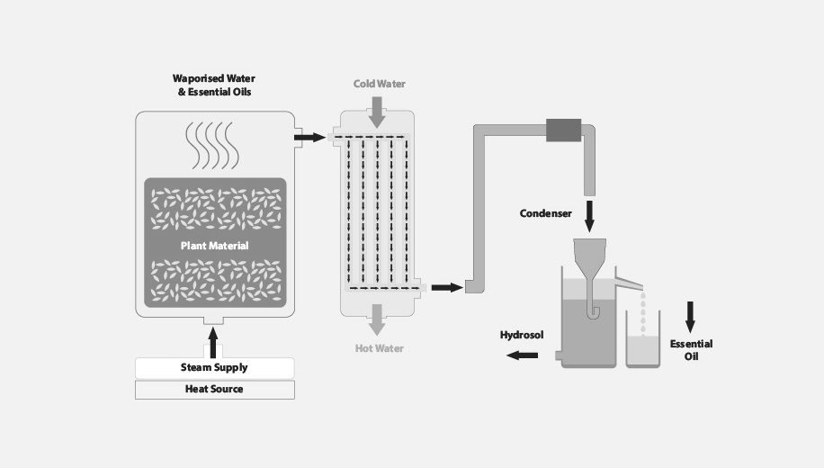 Essential Oil Distillation Scheme by Adlermech.com 